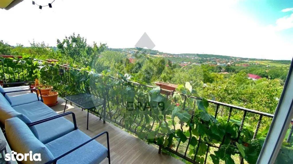 Casa Maya Oradea Bagian luar foto