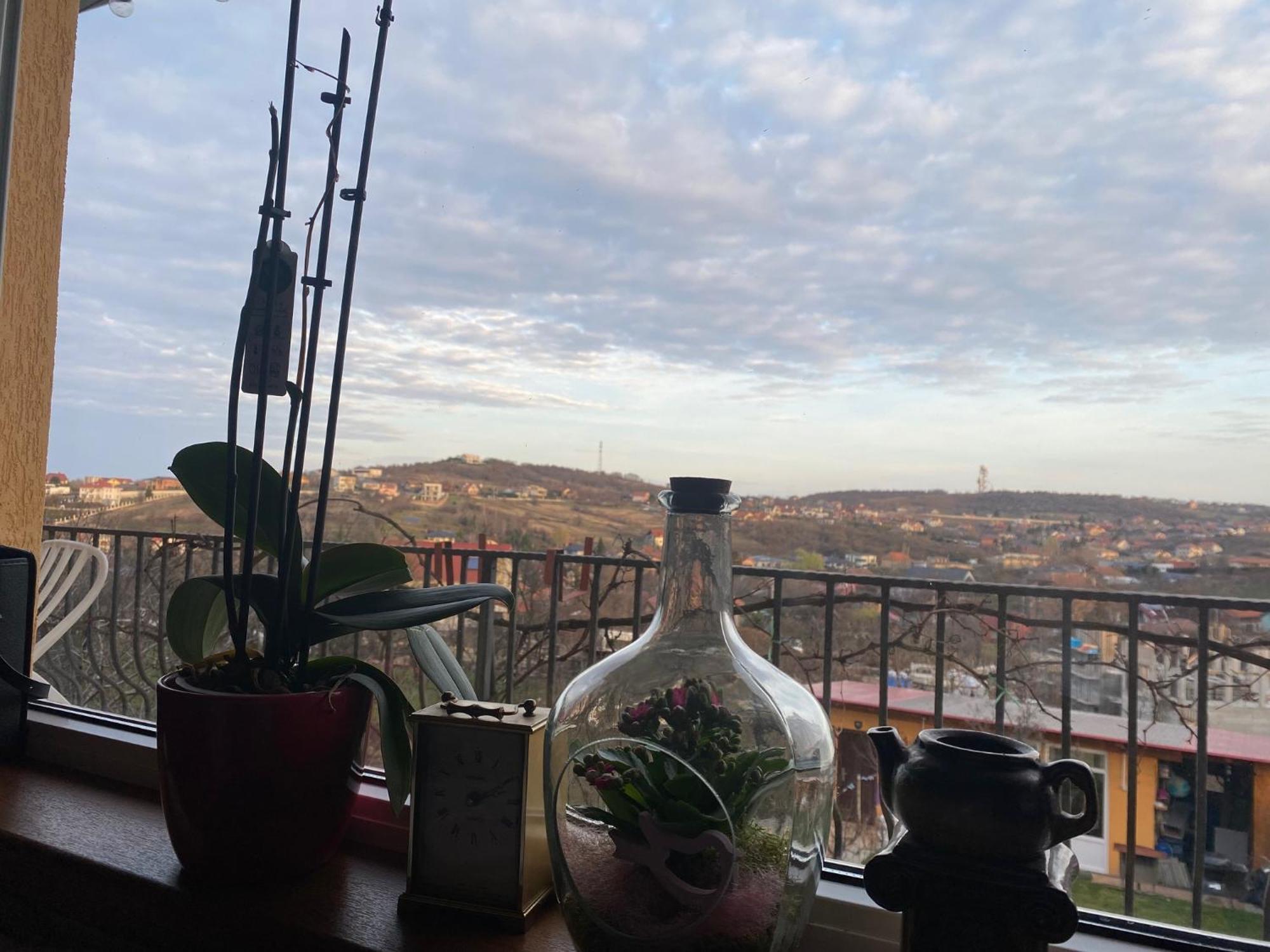 Casa Maya Oradea Bagian luar foto